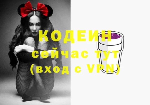 дурь Алексин