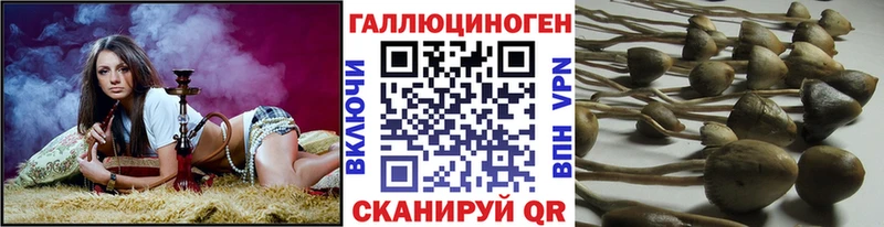 МЕГА ТОР  Темников  Псилоцибиновые грибы прущие грибы 